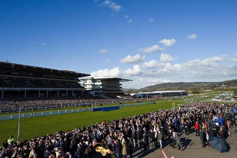 Cheltenham racecourse raceday