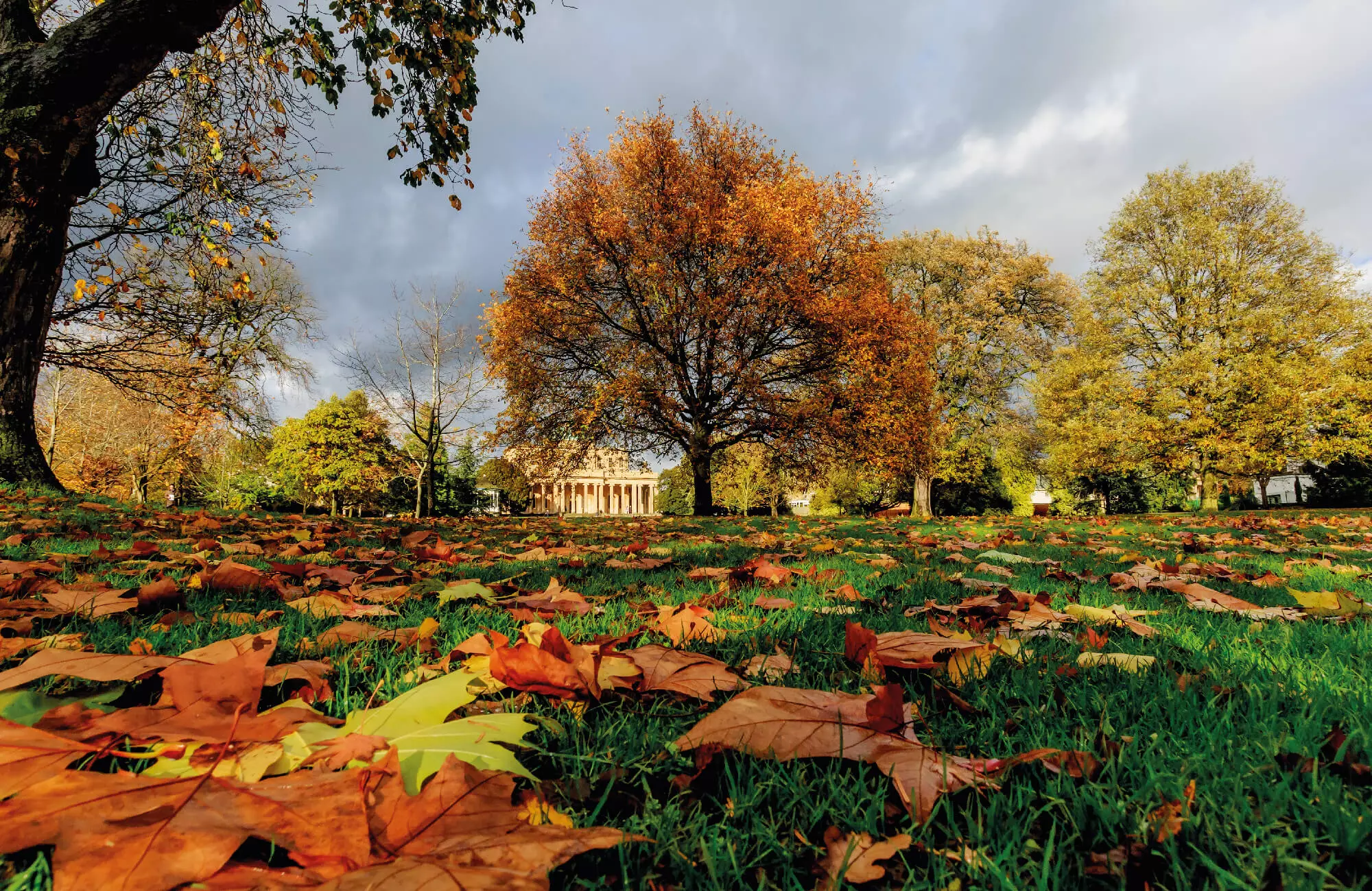 Three for two offer at The Queens Hotel Cheltenham