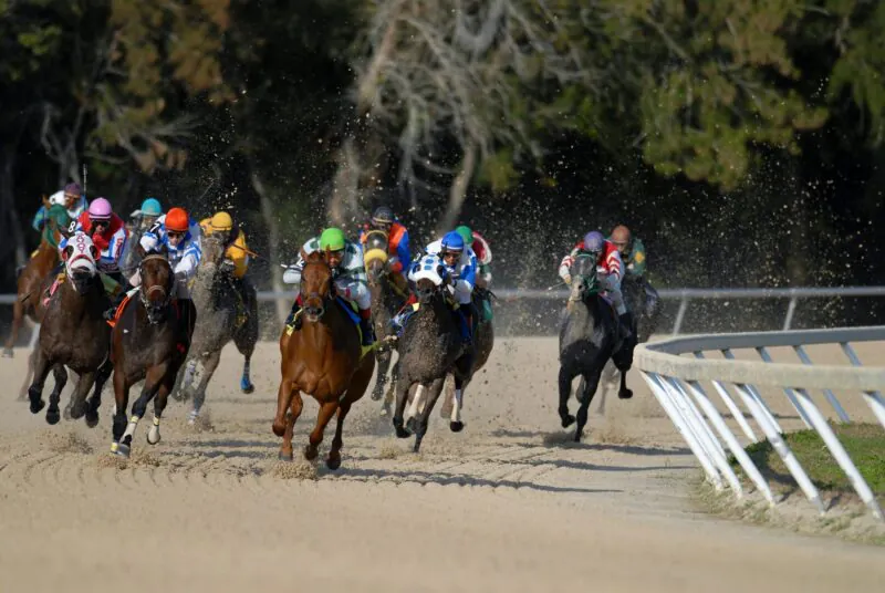 Racecourse raceday