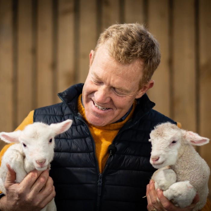 Cotswolds Farm Cheltenham lambs